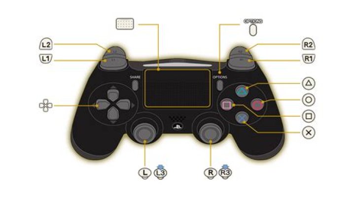 Can you use a PowerA controller on PS4?