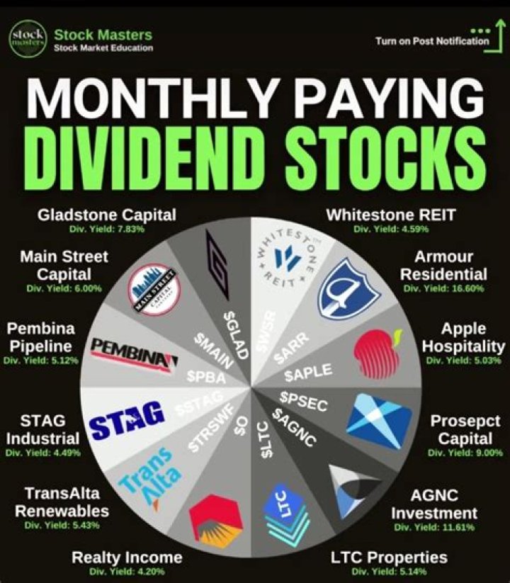 Does Star Group pay dividends?