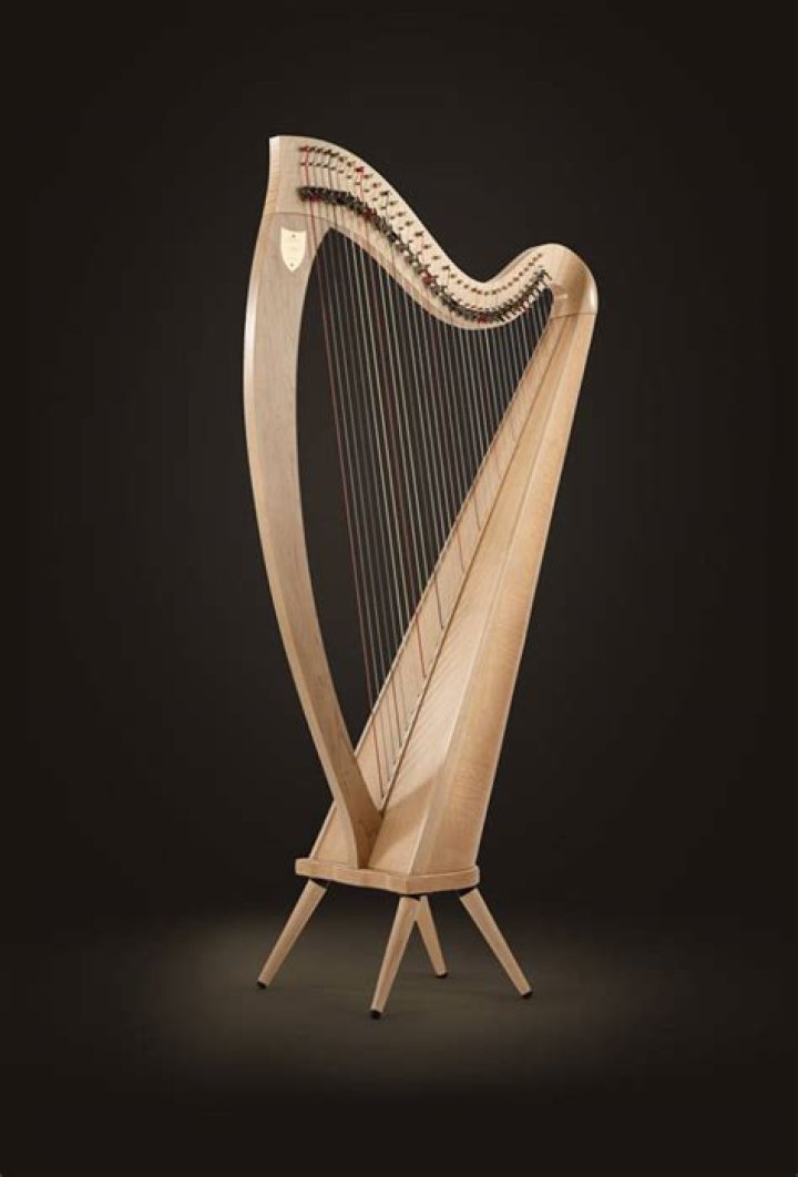 How much does a lever harp cost?