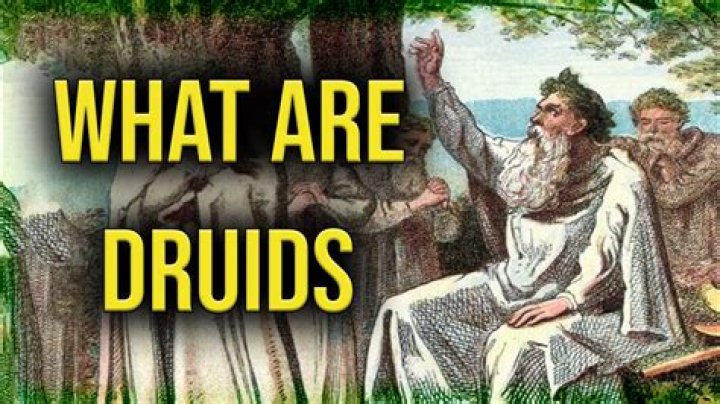 What are Druids today?
