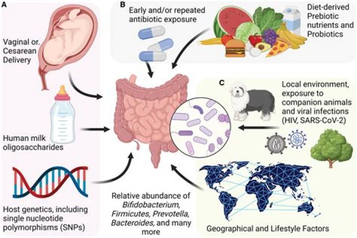 What is a microbiome simple definition?
